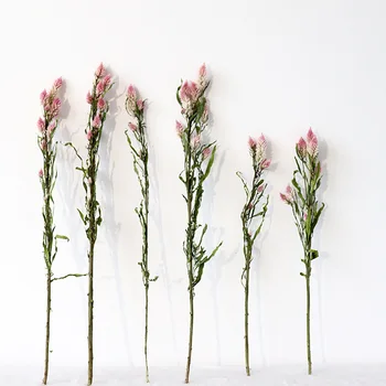 Multi-Vodi Fleurs Sechees Fotografija Rekvizitov, Posušeno Cvetje Woondecoratie Dnevna Soba Šopek, Dekoracijo DIY Cvetlični Aranžma
